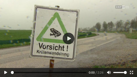 Leider können Sie das Video nicht mehr abspielen, da die vom ORF freundlicherweise erteilte Lizenz abgelaufen ist.