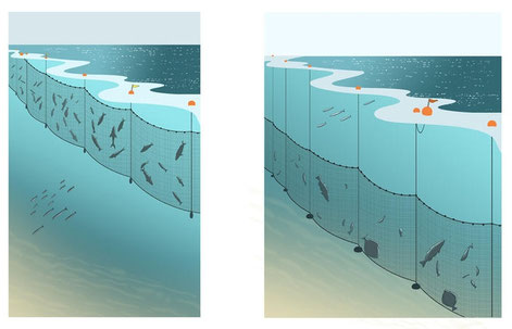 Fangmethoden - www.koch-zug.ch