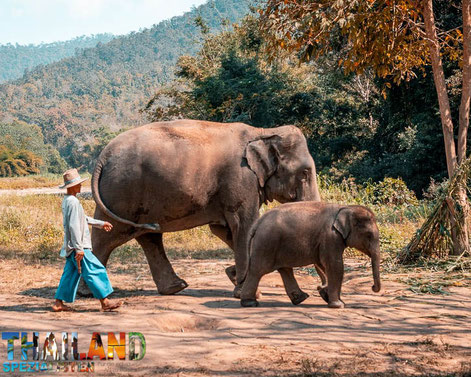 Chiang Rai ist wieder offen nach Covid-19