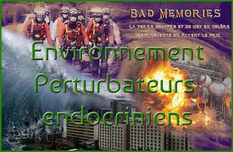 Perturbateurs endocriniens et environnement