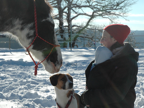 Katharina Grotte Shiatsu und Craniosacrale Körperarbeit in der Freizeit mit Pferd und Hund