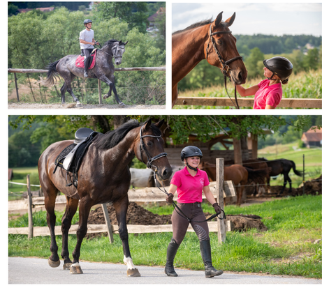 Feriencamps, Ferienwochen, Pferd-Erlebniswochen, Voltigierwochen, Pfrüfungsvorbereitungswochen, Sommerferien, Osterferien, Herbstferien Graz/Deutschlandsberg/Steiermark