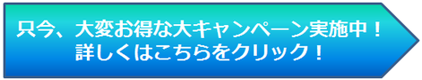 FAXDM大キャンペーン詳細はこちら