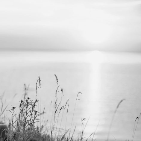 aufgehende Sonne am See schwarz-weiß 