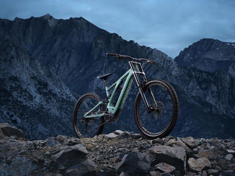 Das Turbo Kenevo 2020 von Specialized im Detail