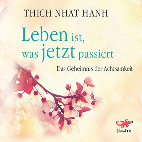 Hörbuchbesprechung: Leben ist, was jetzt passiert - Das Geheimnis der Achtsamkeit  von Thich Nhat Hanh, Wege zum Sein