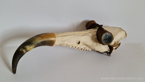 assemblagekunst Ellen Brouwers ellenevabrouwers.com wildezwijnenschedel met motorbril