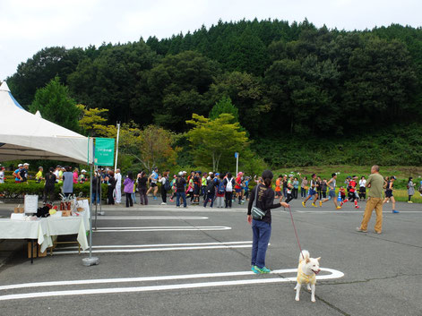 新庄・蒜山スーパートレイル2016に出店しました!