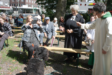 Foto: Reiner Terhorst