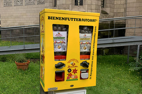 Für 50 Cent kann man am Automateneine Kapsel mit Saatgut ziehen. I Foto: Dominik Peters