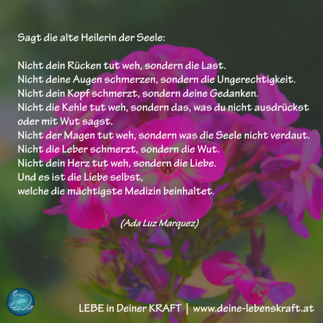 LEBE in deiner KRAFT | Körper und Seele