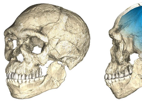 L'homme de Jebel Irhoud (Maroc), -300 000 ans