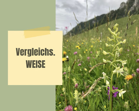 (c) Canva