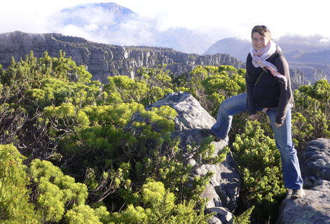 Bild: Auf dem Tafelberg 