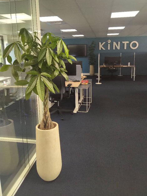 location et entretien de plantes