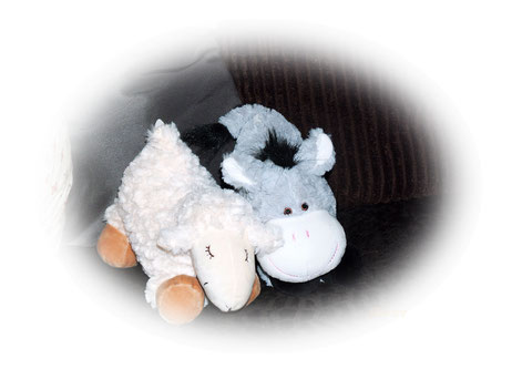 Ferienhaus, FerienhausamKlostergarten, Gößweinstein, Urlaub, Ferien, Ausflug, Familientreffen, Wanderung, Klettern, Radtour, Wallfahrt, Franken, Fränkische Schweiz, Oberfranken, Bayern, Feiertage, Kuscheltier, Kinderwillkommen, Gäste