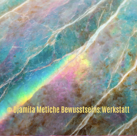 Portaltag 27.8.2026