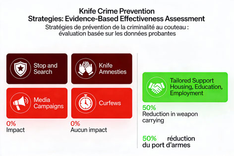 Comparaison de l'efficacité des stratégies de prévention de la criminalité au couteau selon les données probantes