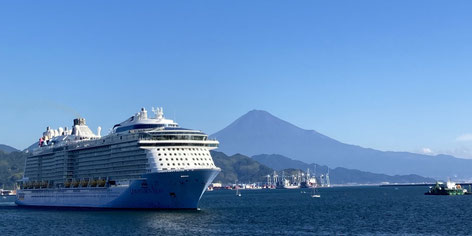 Private Tours from Shimizu Port