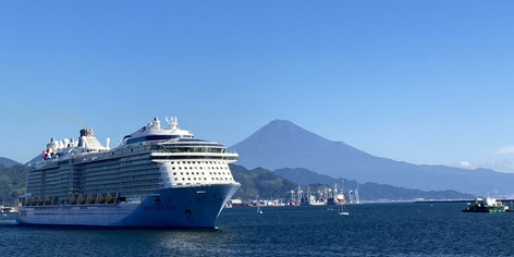 Private Tours from Shimizu Port