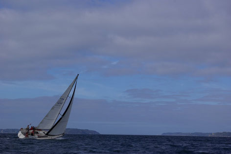 Cotentin croisières