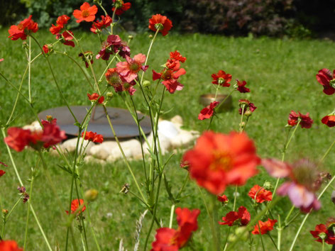Ritualbegleitung Luzern