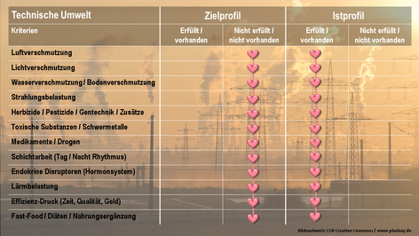 Eigene Darstellung in Anlehnung an Prof. Dr. Spitz