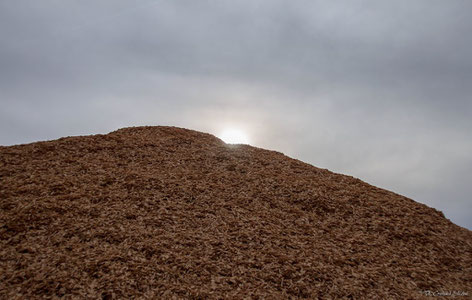 Sonnenuntergang hinter den Hackschnitzel-Bergen