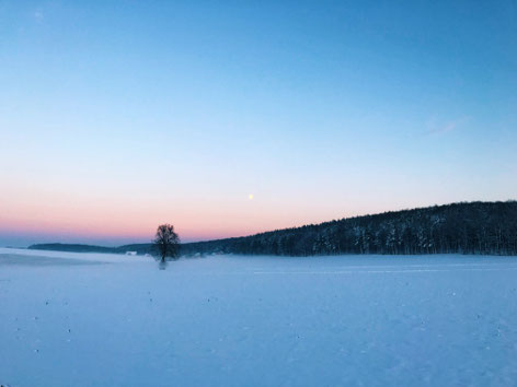 Sonnenuntergang im Waldviertel