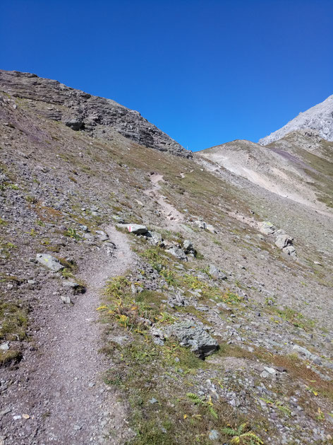 Trails über der Baumgrenze. Am Sonntag muss das Bike auch mal geschoben werden!