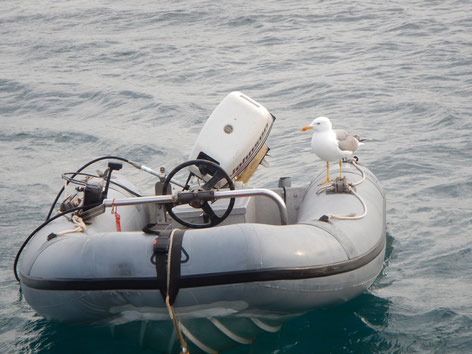 Segeltörn mitmachen von Sardinien, Korsika über Mallorca, Gibraltar bis in die Algave
