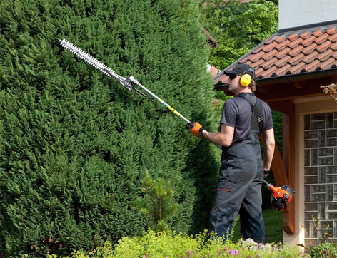 STIHL Heckenschere mieten