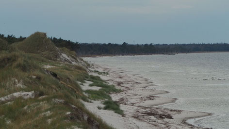 Hohe Düne Pramort