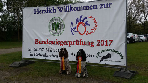 Nur die Besten dürfen bei der Bundessiegerprüfung starten, Foto: Svenja Arendt