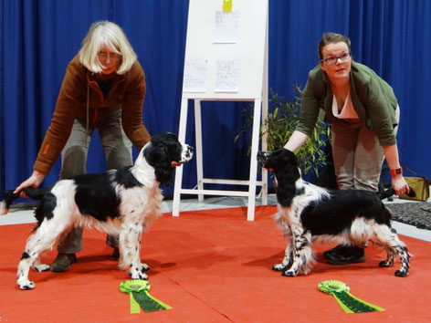 "Jakob vom Belauer See" und "Jolanthe vom Belauer See" gewinnen die Jugendklasse, Foto: Sebastian Feilke