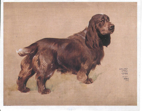 Gemälde von Arthur Wardle des Field Spaniels "Schillingford Rona" aus dem Jahre 1906, Foto: David Hancock