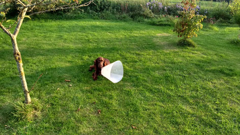 Dorothy had fun! Photo: Ulf F. Baumann