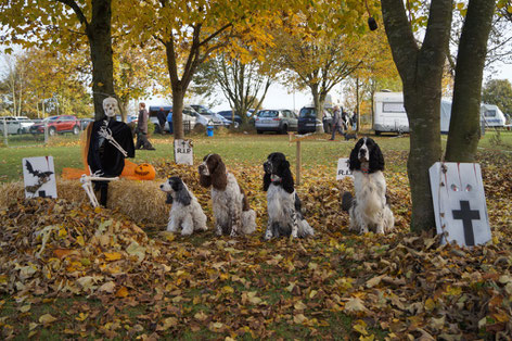 von links: Holly, Jule, Zelda und Jeppe, Foto: Ulf F. Baumann