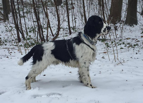 "Jakob vom Belauer See", Foto: Svenja Hansen