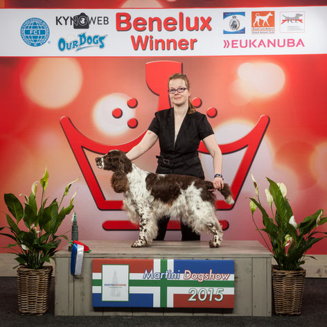 "Deb's Cortina", Benelux Winner 2015, Photo & Copyright: KYNOWEB