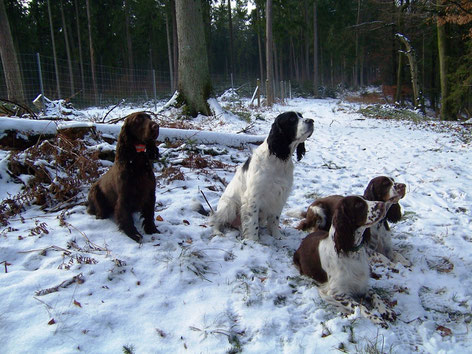 von links: Vicky, Clark, Ilse und Lotta, Foto: Ulf F. Baumann