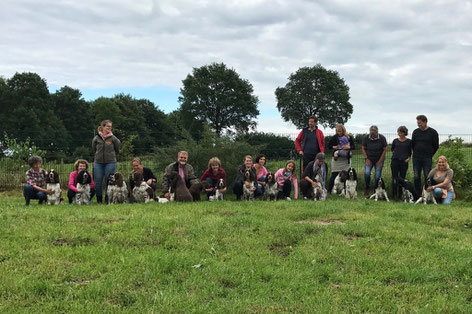 Einige Hunde "vom Belauer See" beim diesjährigen Kenneltreffen, Foto: Frank Meyer