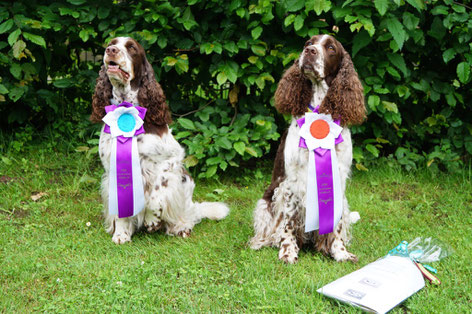 Das Team "vom Belauer See" war beim Rally Obedience Turnier in Groß Grönau erfolgreich. Foto: Ulf F. Baumann