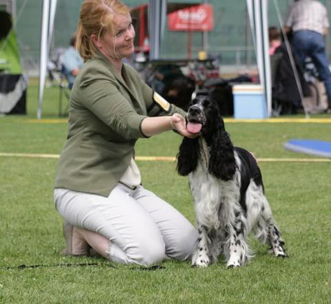 "German Youth Champion (VDH) German Youth Champion (Klub) Jolanthe vom Belauer See", Photo: Mailin Serges