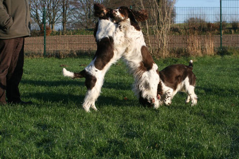 ...playing around...left Yola, in the middle Lotta, Ilse is to the right. Photos: Ulf F. Baumann