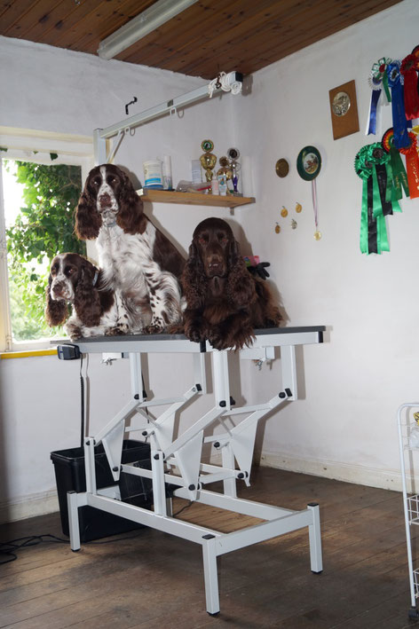 New grooming table..., Photo: Ulf F. Baumann