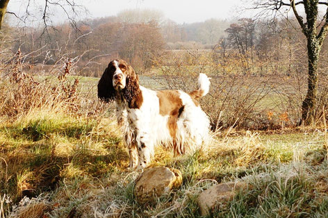 "Desperados Charlotta At Belauer See", Photo: Ulf F. Baumann