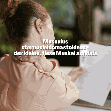 Nackenverspannungen Therapie, Physio bei Nackenschmerzen in Basel