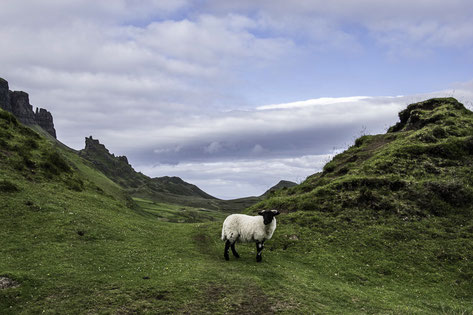 Skye - Il Quiraing