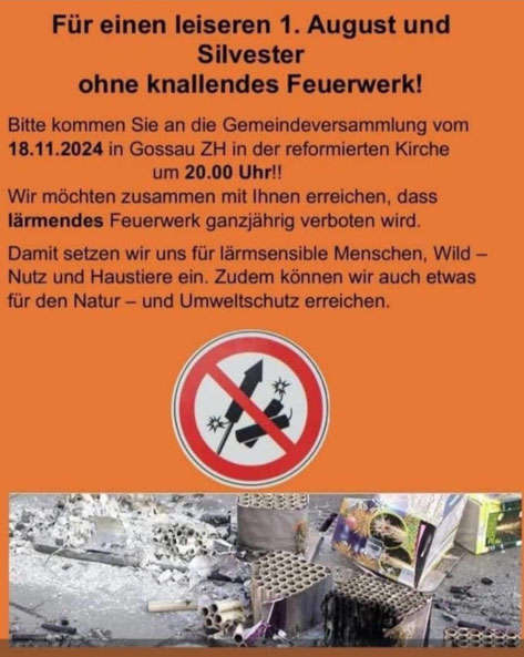 (Screenshot buebikernews)